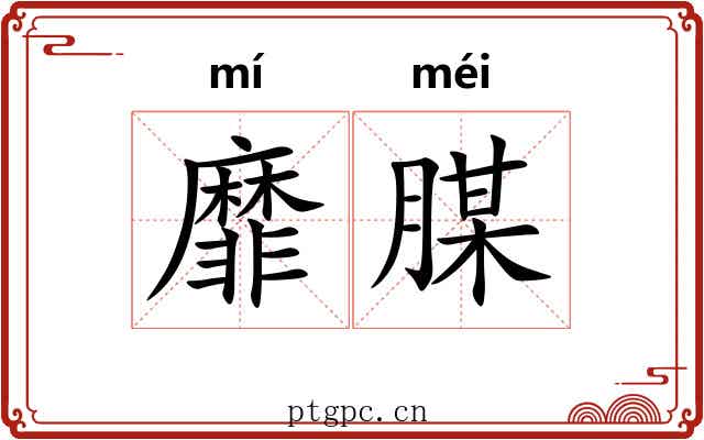 靡腜