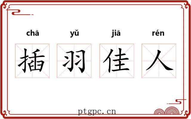 插羽佳人