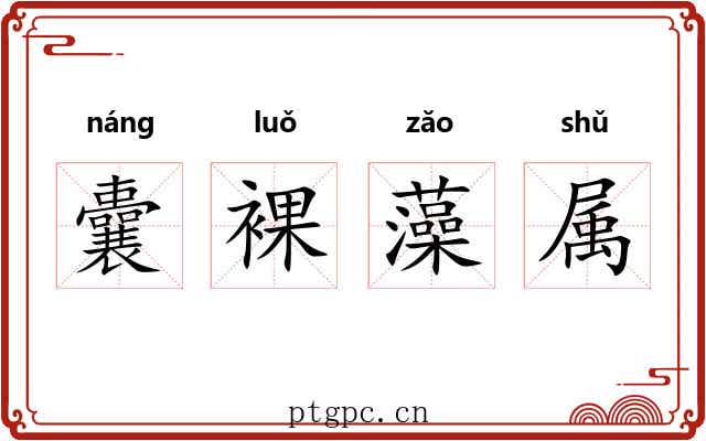囊裸藻属 囊裸藻属