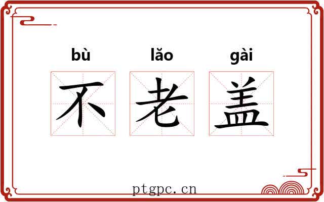 不老盖