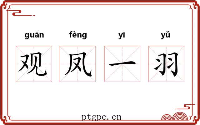 观凤一羽 观凤一羽