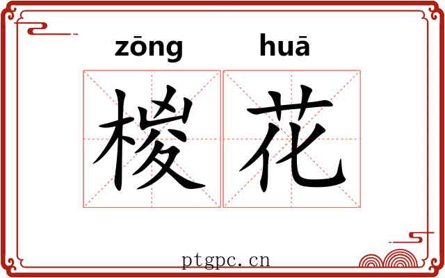 椶花 椶花
