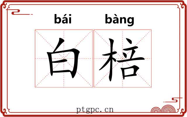白棓 白棓