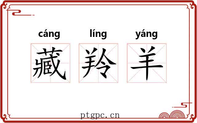 藏羚羊