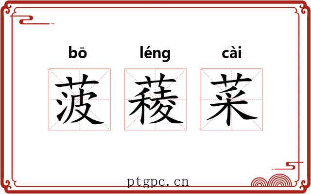 菠薐菜