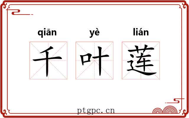 千叶莲 千叶莲