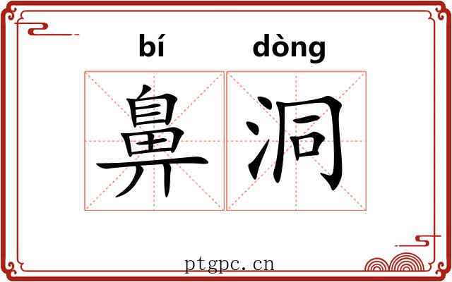 鼻洞