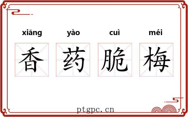 香药脆梅 香药脆梅