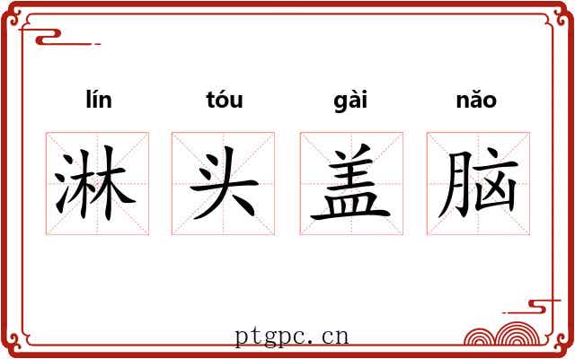 淋头盖脑 淋头盖脑