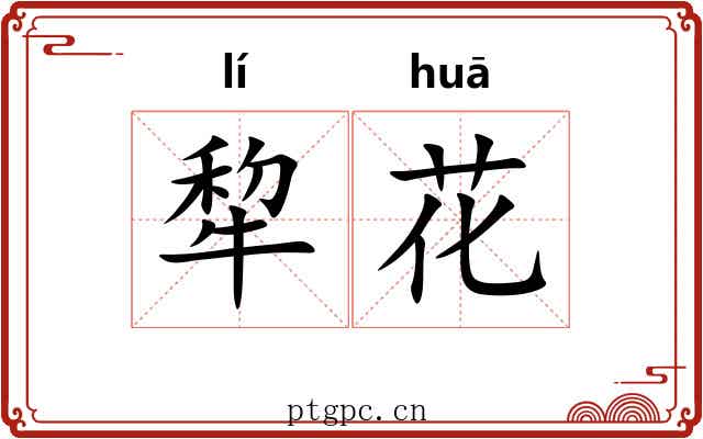 犂花 犂花