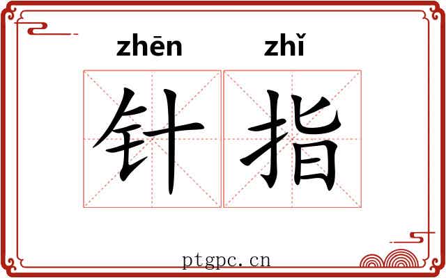 针指 针指