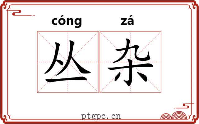 丛杂 丛杂