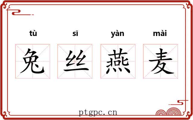 兔丝燕麦 兔丝燕麦