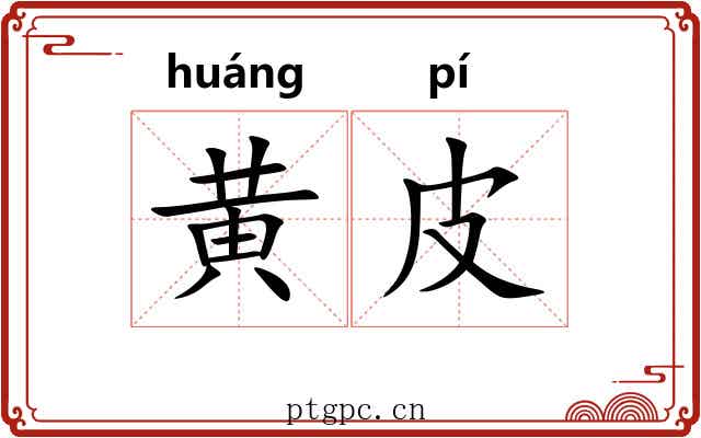 黄皮
