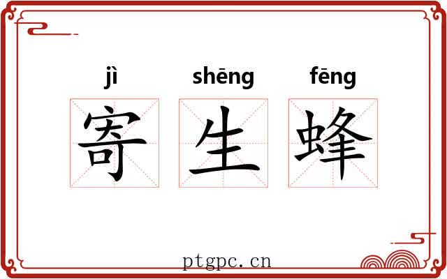 寄生蜂 寄生蜂