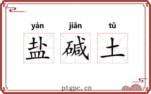 盐碱土 盐碱土