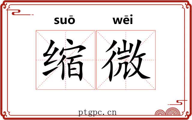缩微
