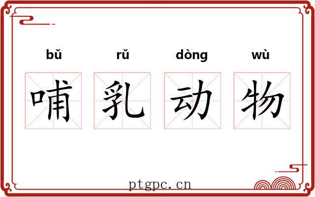 哺乳动物 哺乳动物