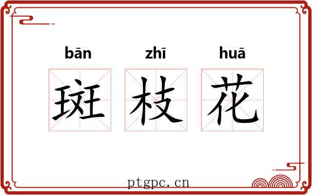 斑枝花 斑枝花