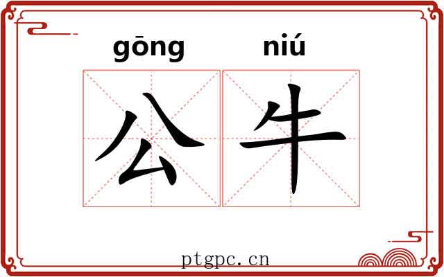 公牛 公牛