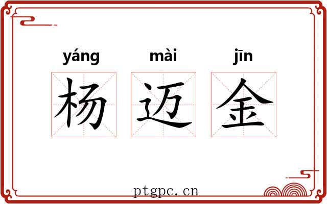 杨迈金 杨迈金