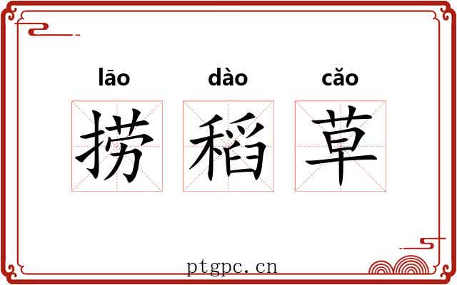 捞稻草