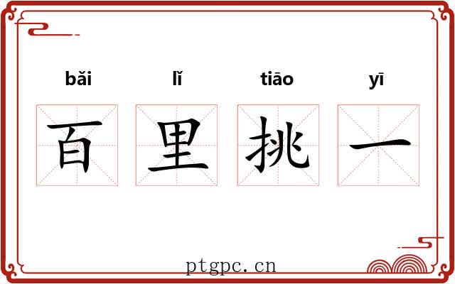 百里挑一