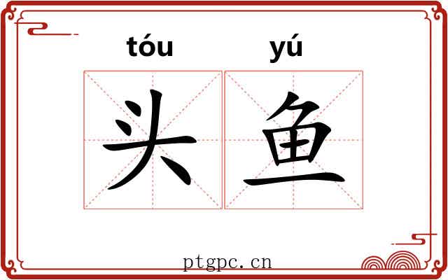 头鱼 头鱼
