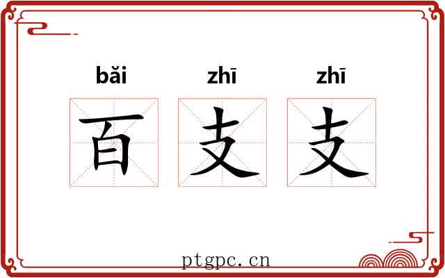 百支支