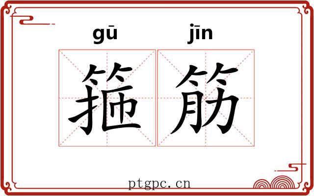 箍筋