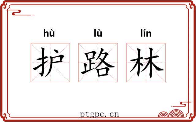 护路林 护路林
