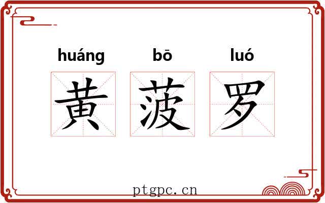 黄菠罗 黄菠罗