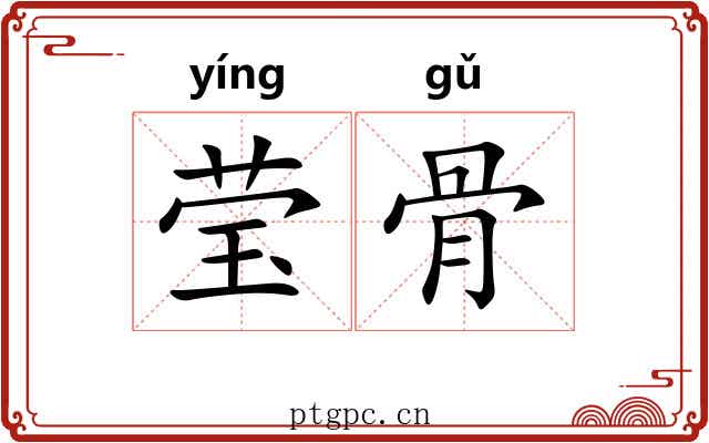 莹骨 莹骨