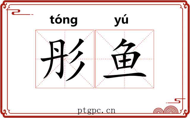 彤鱼