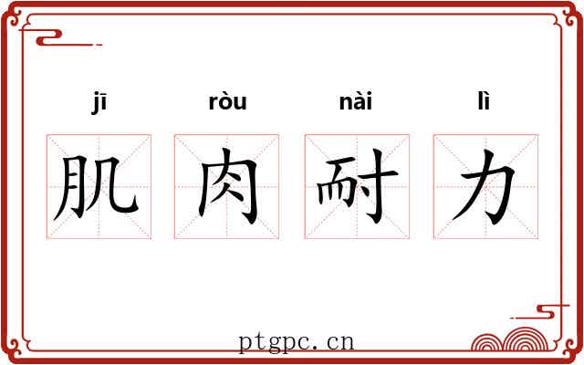 肌肉耐力 肌肉耐力