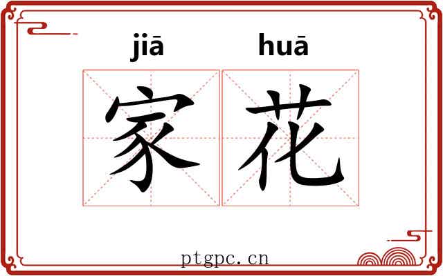 家花 家花