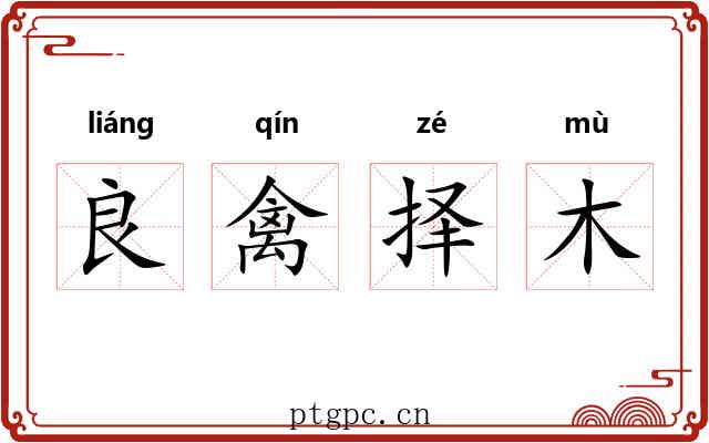 良禽择木 良禽择木