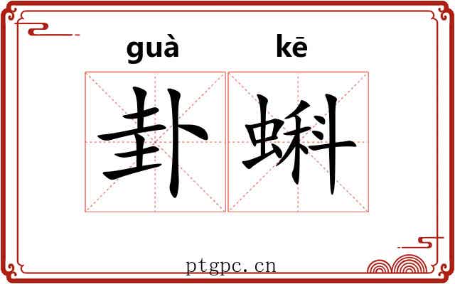 卦蝌