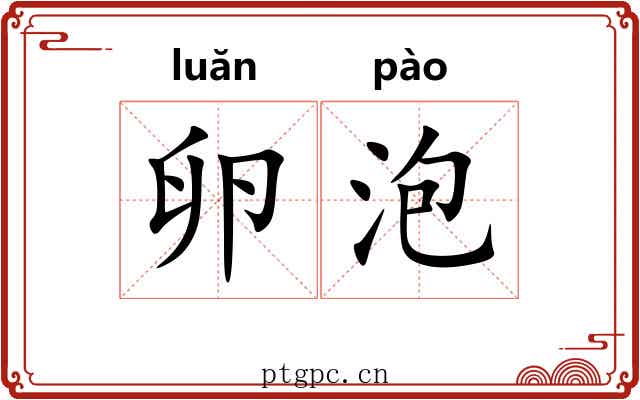 卵泡 卵泡