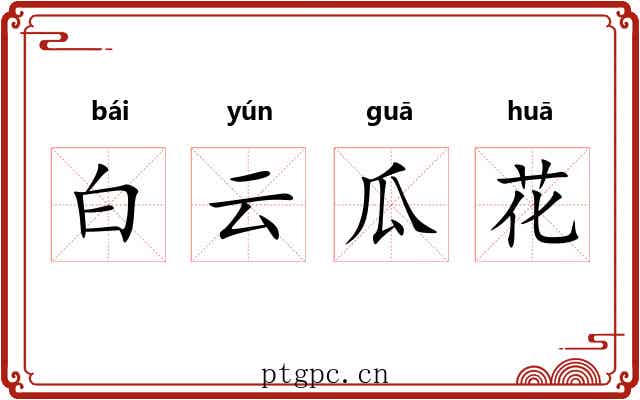 白云瓜花 白云瓜花