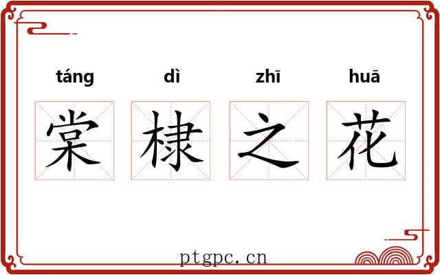 棠棣之花 棠棣之花