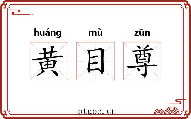 黄目尊