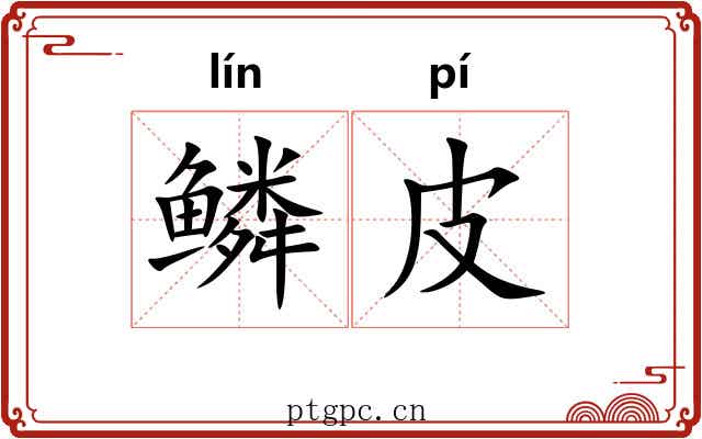 鳞皮