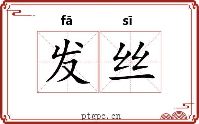 发丝 发丝