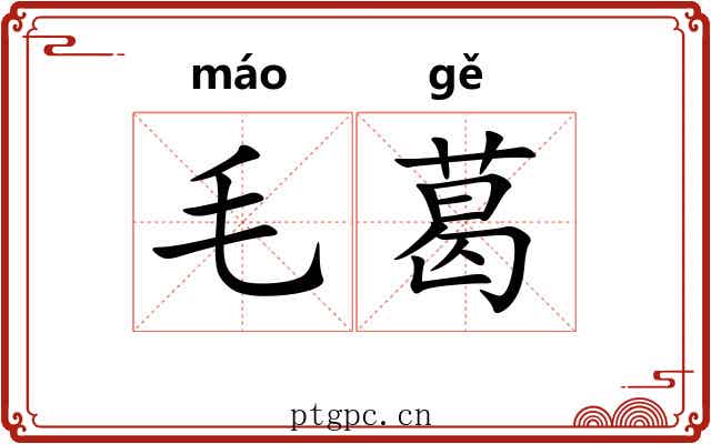 毛葛
