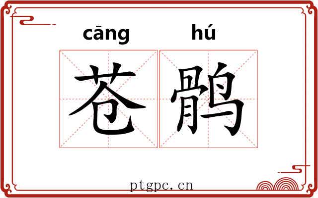 苍鹘