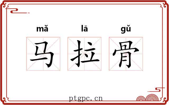 马拉骨 马拉骨