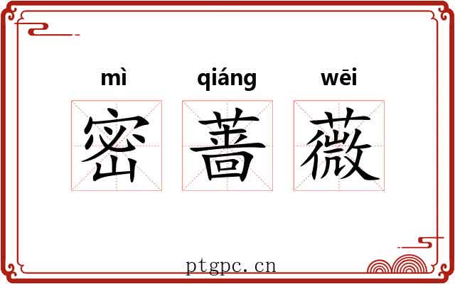 密蔷薇 密蔷薇