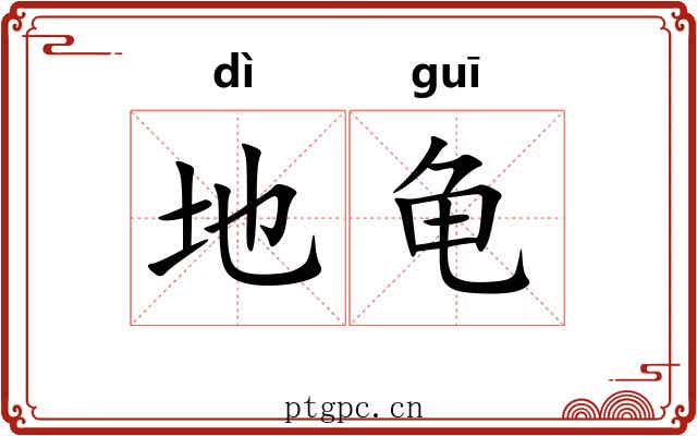 地龟 地龟