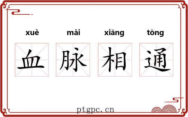 血脉相通 血脉相通